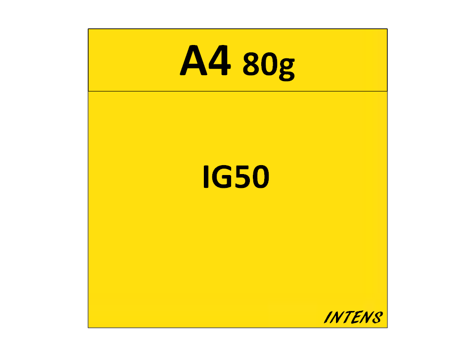 papier A4 80g kolor IG50 żółty