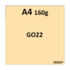 Papier kolorowy A4, 160g/m2, trend GO22, 250 arkuszy