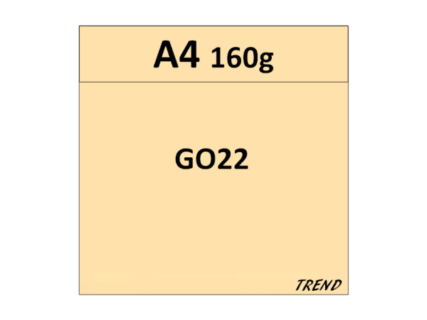 Papier kolorowy A4, 160g/m2, trend GO22, 250 arkuszy