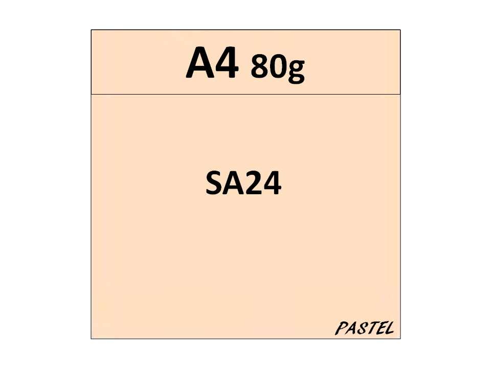 papier A4 80g kolor SA24 łososiowy